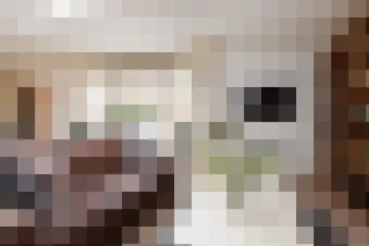 Jonkheer van Riemsdijklaan 86 Den Haag thumbnail 9