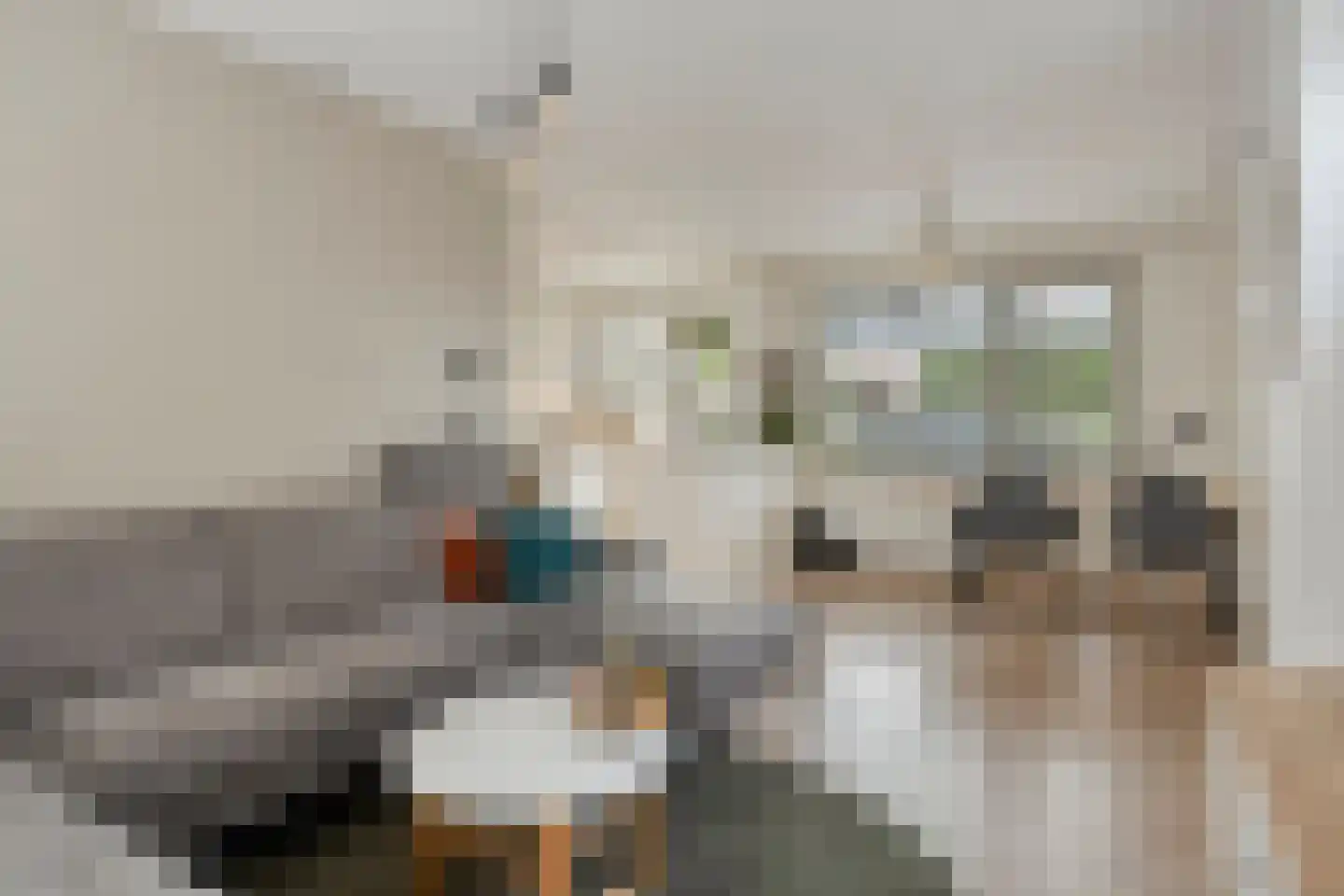 Jonkheerstraat 4 Landgraaf thumbnail 9