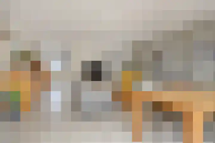 Jonkhof 24 's-Hertogenbosch thumbnail 10
