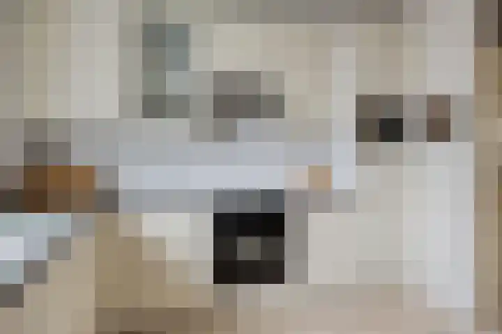 Jonkhof 24 's-Hertogenbosch thumbnail 11