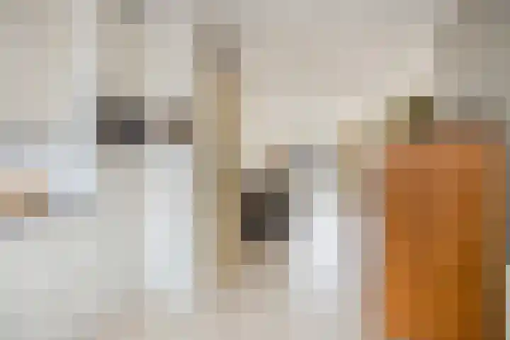 Jonkhof 24 's-Hertogenbosch thumbnail 12