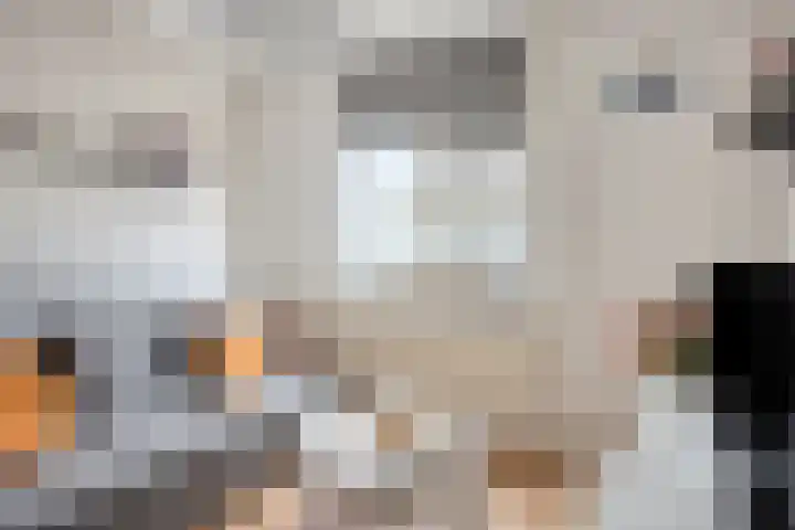 Jonkhof 24 's-Hertogenbosch thumbnail 15