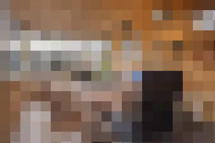 Jonkhof 24 's-Hertogenbosch thumbnail 26
