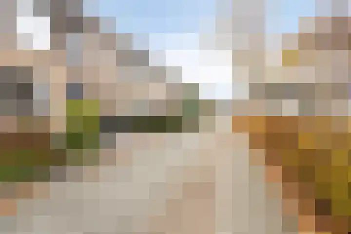 Jonkhof 24 's-Hertogenbosch thumbnail 28