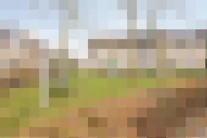 Jonkhof 24 's-Hertogenbosch thumbnail 29