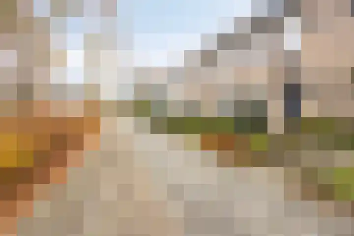 Jonkhof 24 's-Hertogenbosch thumbnail 30
