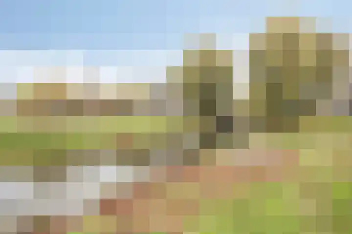 Jonkhof 24 's-Hertogenbosch thumbnail 31