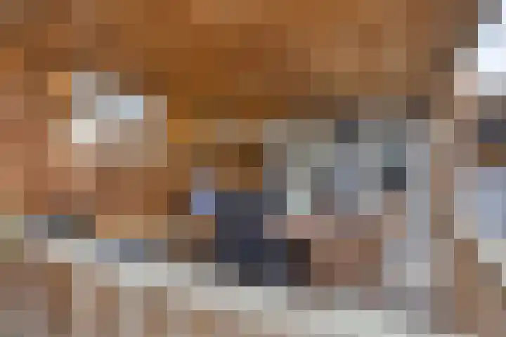 Jonkhof 24 's-Hertogenbosch thumbnail 4