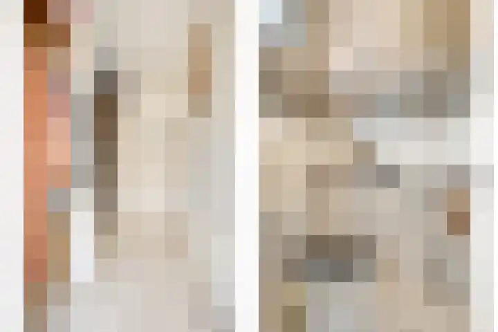 Jonkhof 24 's-Hertogenbosch thumbnail 6