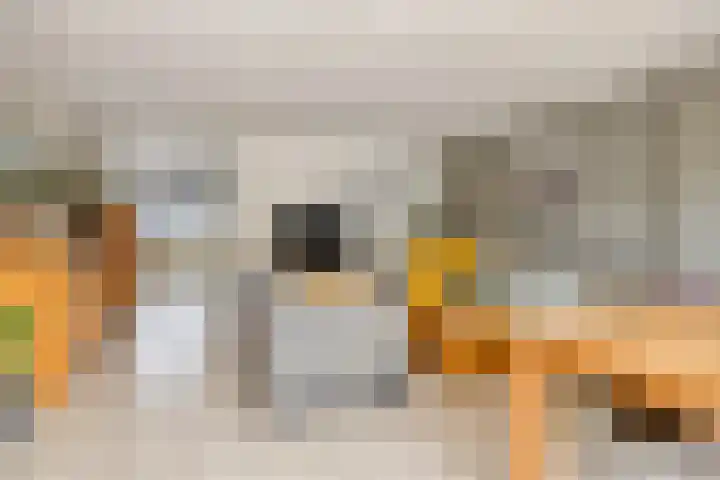 Jonkhof 24 's-Hertogenbosch thumbnail 7