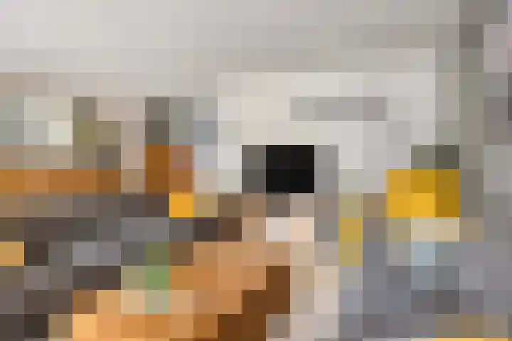Jonkhof 24 's-Hertogenbosch thumbnail 8
