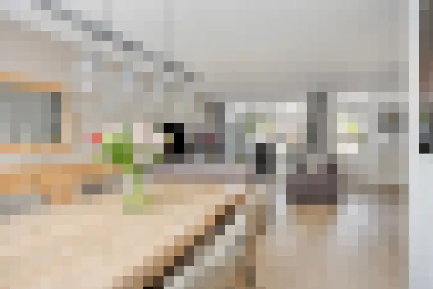 Jonkhof 4 's-Hertogenbosch thumbnail 4