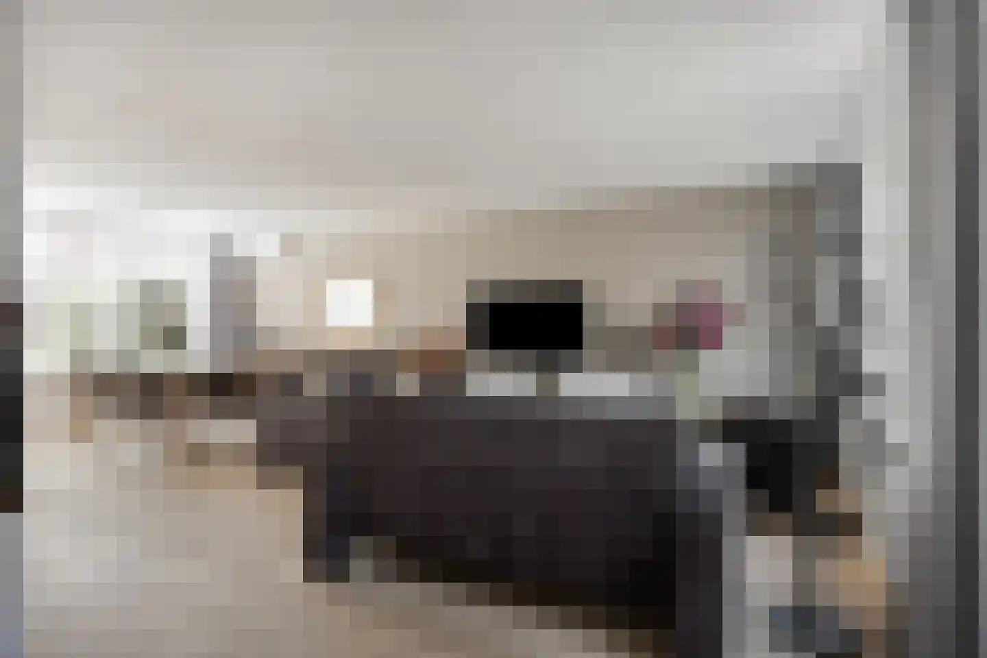 Jonkhof 4 's-Hertogenbosch thumbnail 7