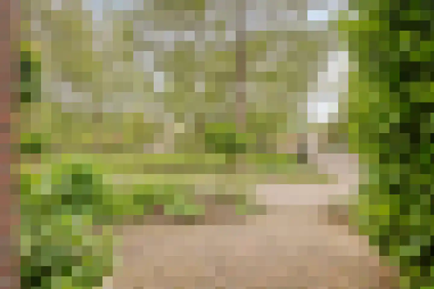 Jonkmandreef 12 Amersfoort thumbnail 34