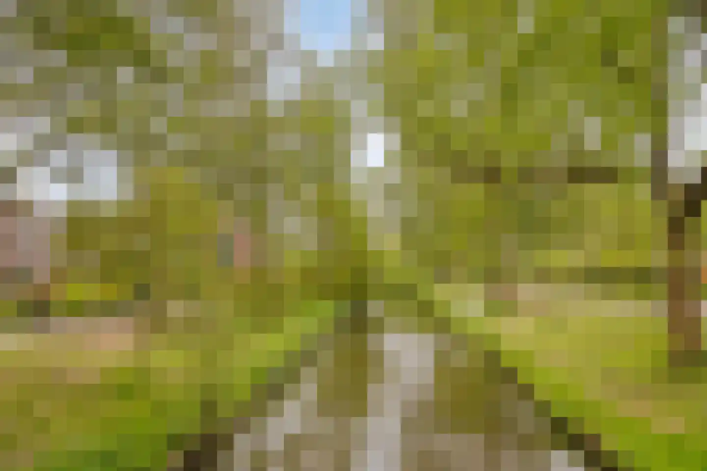 Jonkmandreef 12 Amersfoort thumbnail 35