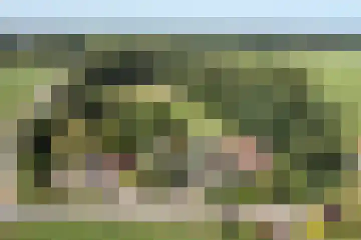 Jonkmansweg 1 Deurningen