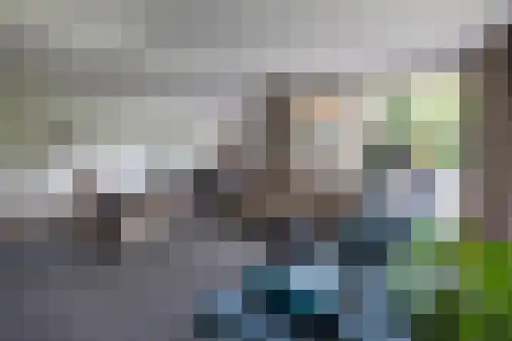 Jonkmansweg 1 Deurningen thumbnail 10