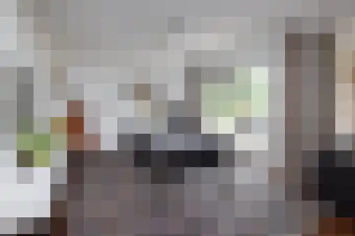 Jonkmansweg 1 Deurningen thumbnail 11