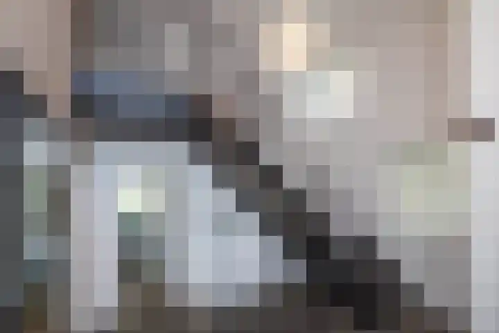 Jonkmansweg 1 Deurningen thumbnail 19