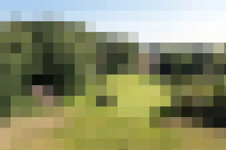 Jonkmansweg 1 Deurningen foto 2