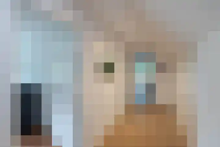 Jonkmansweg 1 Deurningen thumbnail 21