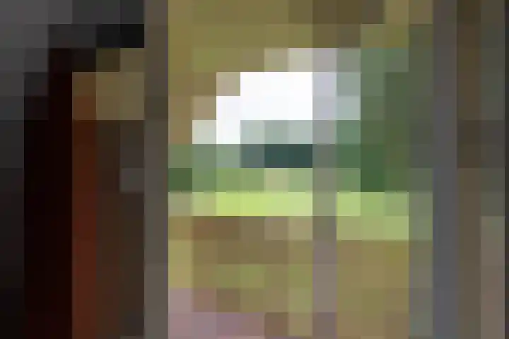 Jonkmansweg 1 Deurningen thumbnail 23