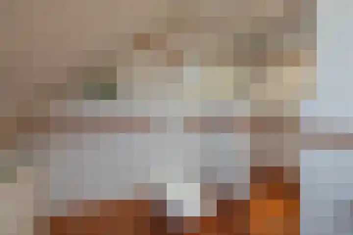 Jonkmansweg 1 Deurningen thumbnail 25