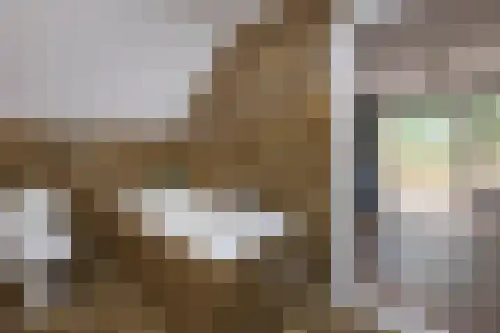 Jonkmansweg 1 Deurningen thumbnail 29