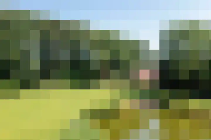 Jonkmansweg 1 Deurningen foto 3