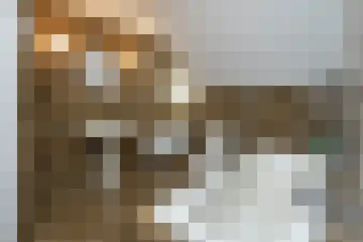 Jonkmansweg 1 Deurningen thumbnail 30