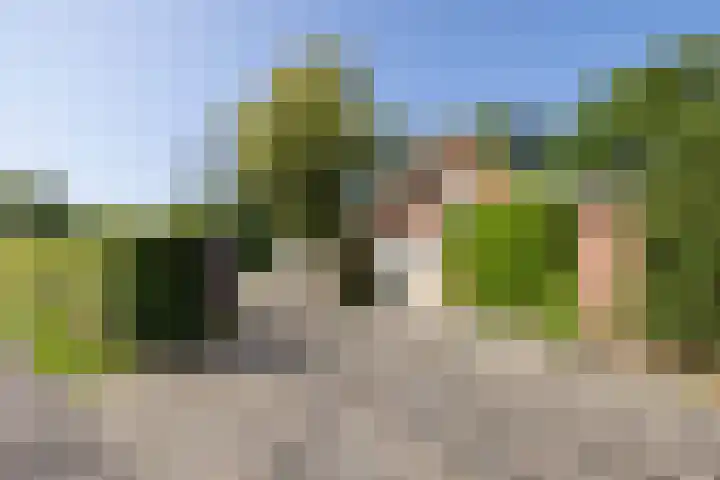Jonkmansweg 1 Deurningen thumbnail 33