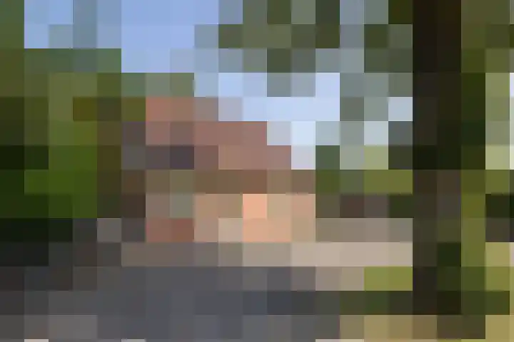 Jonkmansweg 1 Deurningen thumbnail 34