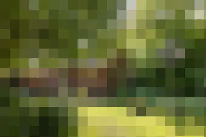 Jonkmansweg 1 Deurningen thumbnail 35