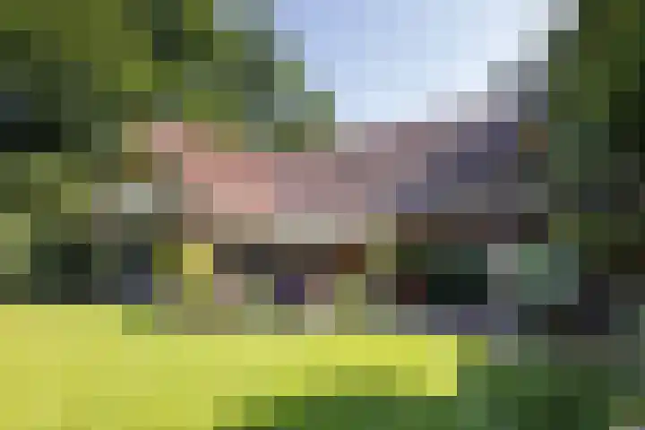 Jonkmansweg 1 Deurningen thumbnail 4