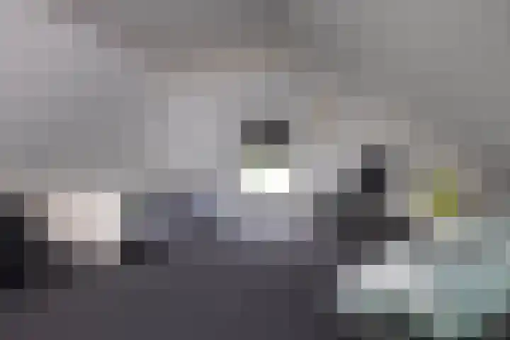 Jonkmansweg 1 Deurningen thumbnail 41