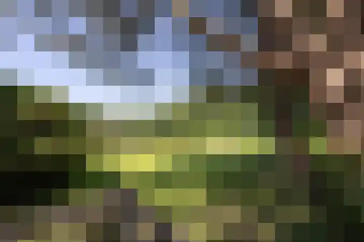 Jonkmansweg 1 Deurningen thumbnail 43