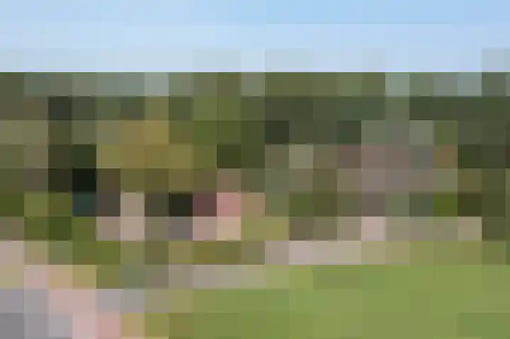 Jonkmansweg 1 Deurningen thumbnail 44