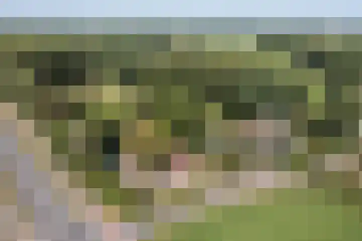 Jonkmansweg 1 Deurningen thumbnail 45