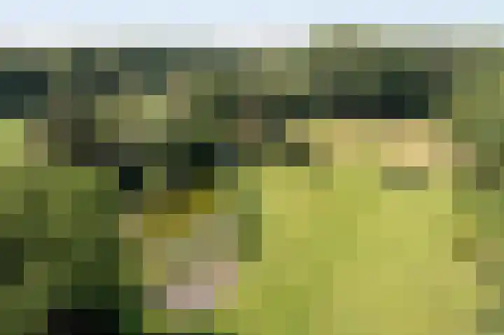 Jonkmansweg 1 Deurningen thumbnail 46