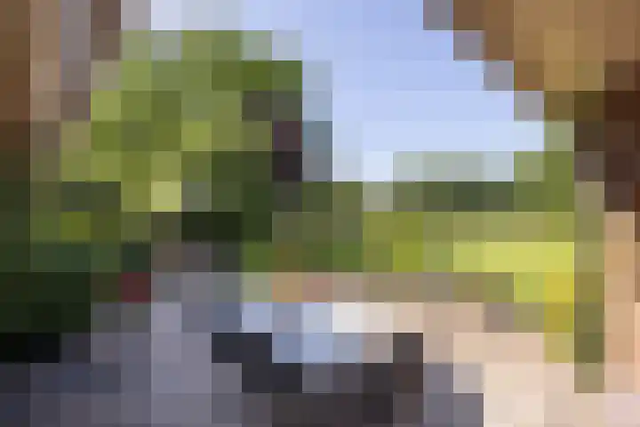Jonkmansweg 1 Deurningen thumbnail 47