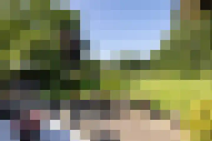Jonkmansweg 1 Deurningen thumbnail 5