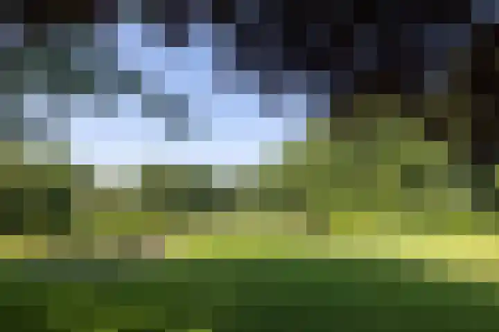 Jonkmansweg 1 Deurningen thumbnail 50