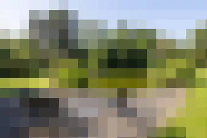 Jonkmansweg 1 Deurningen thumbnail 51