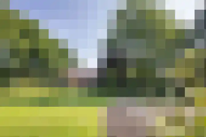Jonkmansweg 1 Deurningen thumbnail 52
