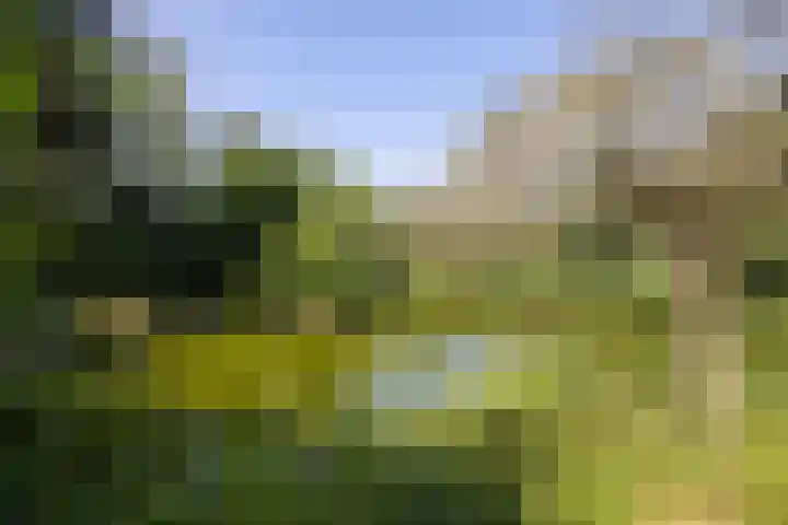 Jonkmansweg 1 Deurningen thumbnail 53