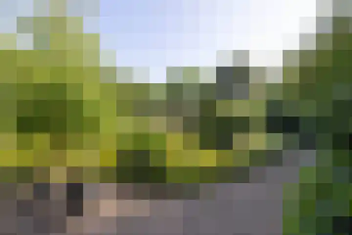 Jonkmansweg 1 Deurningen thumbnail 55
