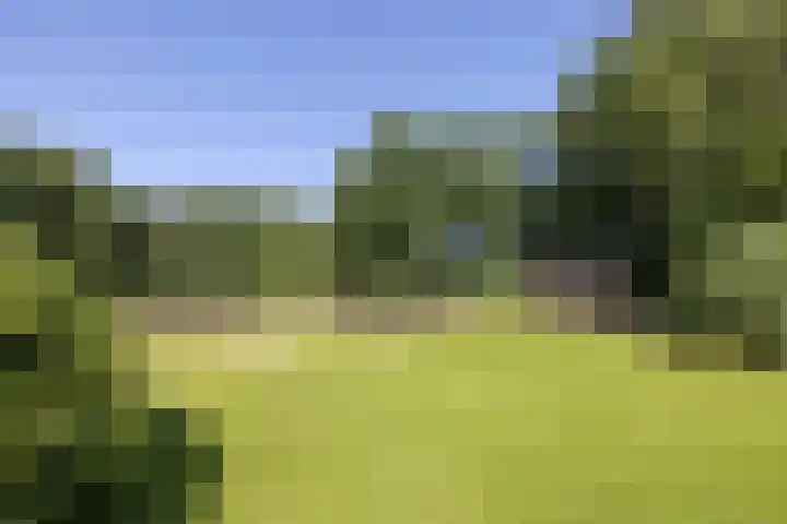 Jonkmansweg 1 Deurningen thumbnail 56
