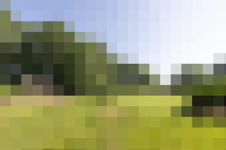 Jonkmansweg 1 Deurningen thumbnail 57