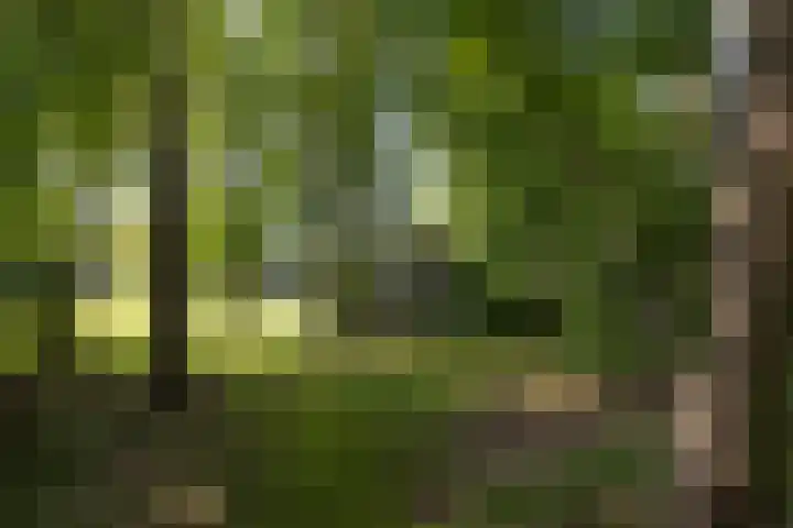 Jonkmansweg 1 Deurningen thumbnail 59