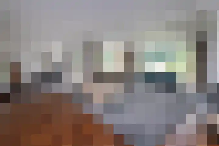 Jonkmansweg 1 Deurningen thumbnail 6